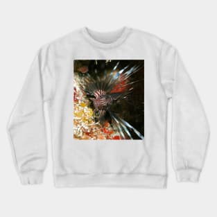 Caribbean Lion Fish Crewneck Sweatshirt